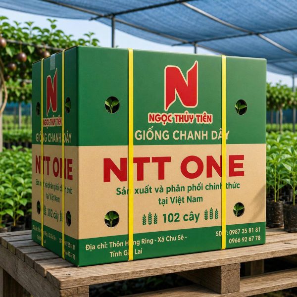 Giống Chanh Dây NTT ONE - Công ty SX và TM Ngọc Thuỷ Tiên