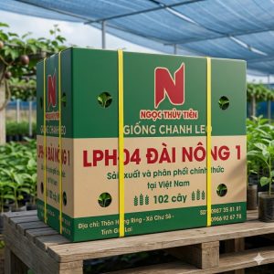 Giống Chanh Dây Đài Nông 1 TNT - Công ty SX và TM Ngọc Thuỷ Tiên