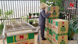 giong-chanh-day-tot-nhat-hien-nay